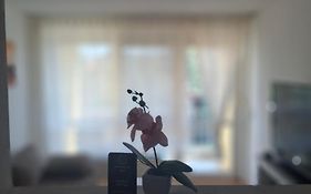 Ferienwohnung Shirin
