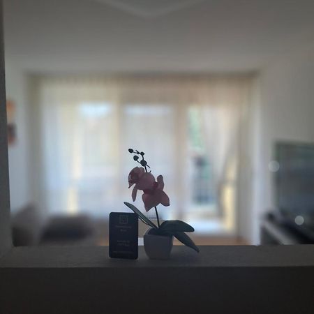 Ferienwohnung Shirin Rust Buitenkant foto
