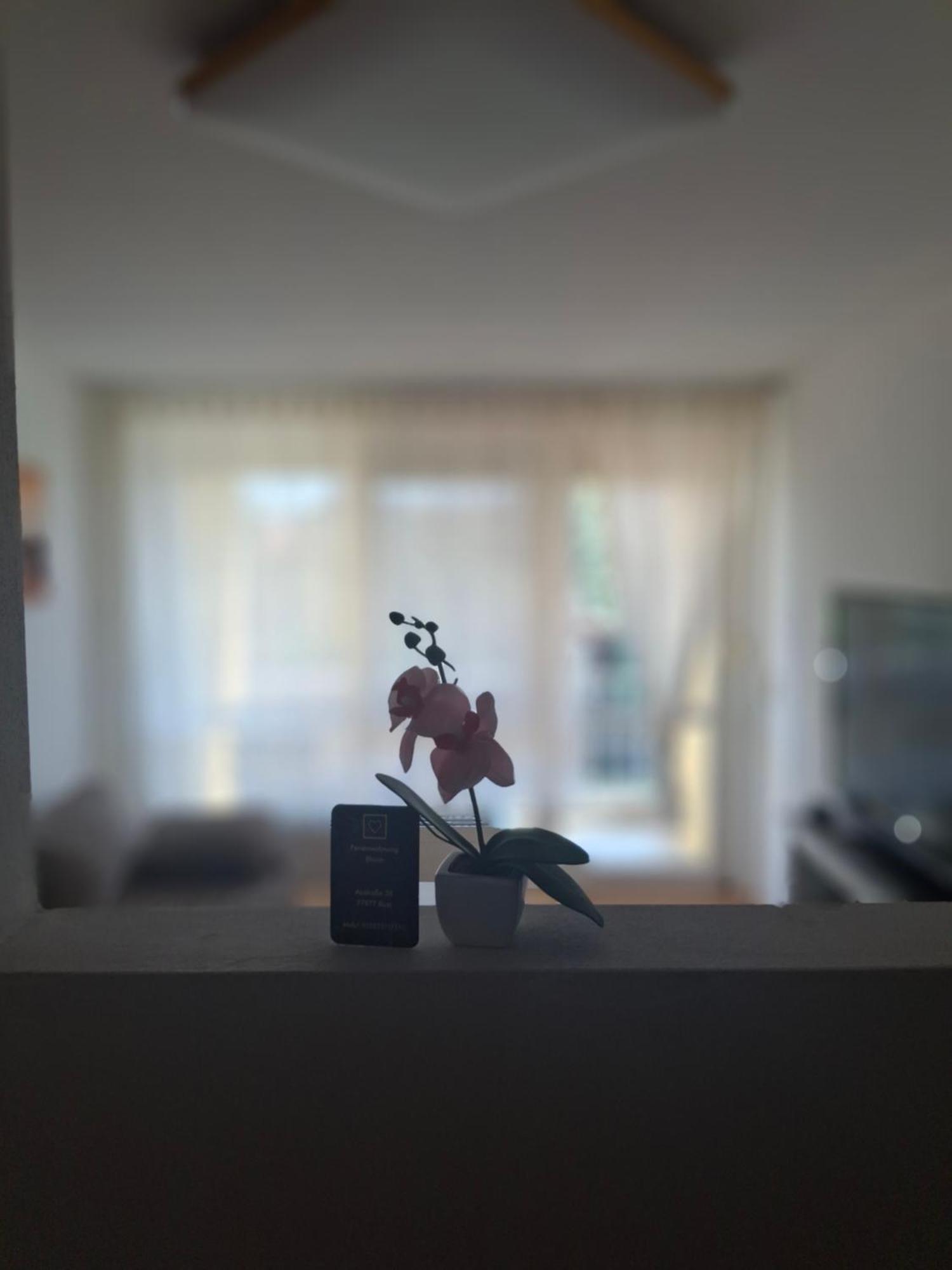 Ferienwohnung Shirin Rust Buitenkant foto
